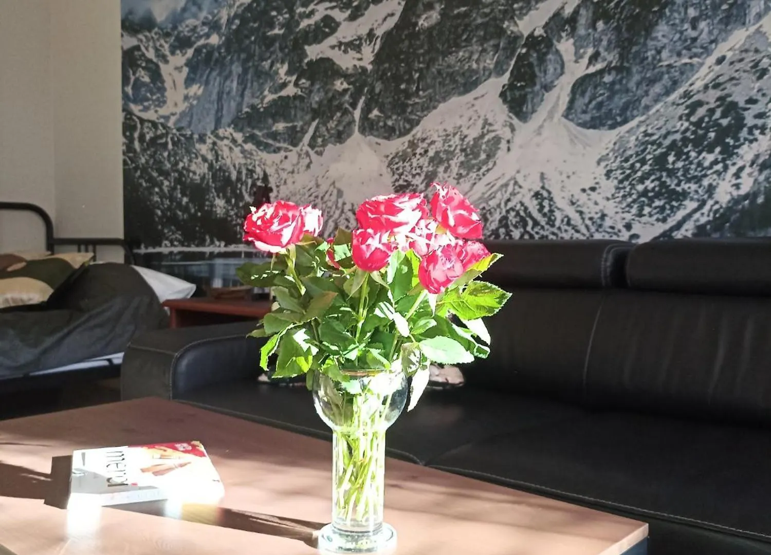 Mokka Silver Spa&Ski Apartamenty Viva Maria Zakopane 0*,
